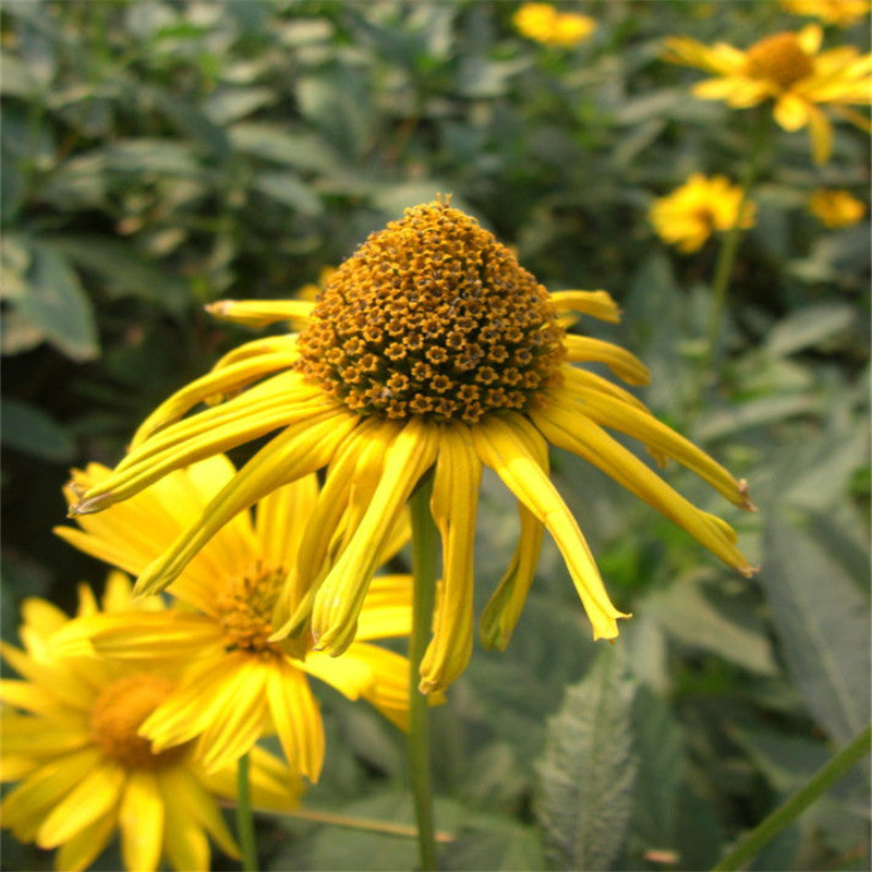 2019 work summary template material 2018 post year