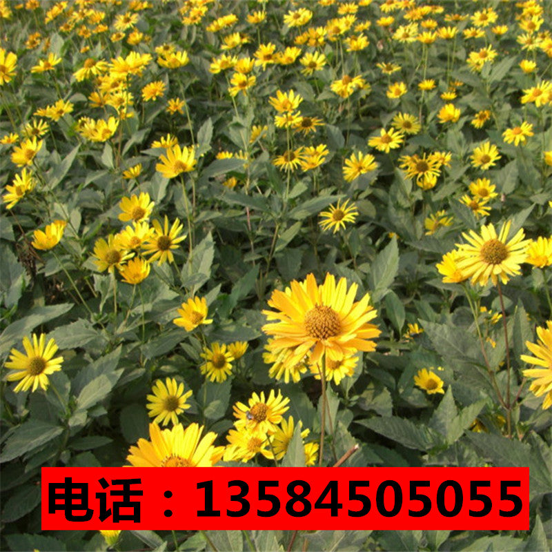 2019 work summary template material 2018 post year