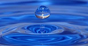 New 2019 product for advance collection