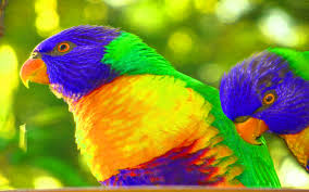 New 2019 product for advance collection