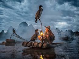 Copy of New 2019 product for advance collection