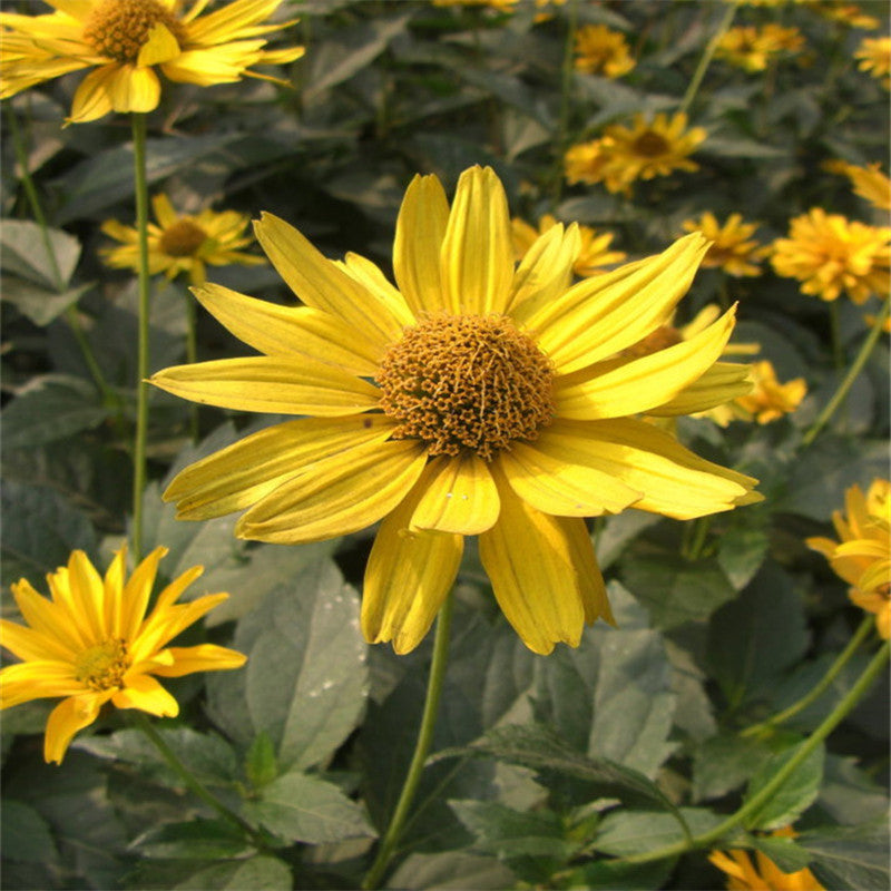 2019 work summary template material 2018 post year