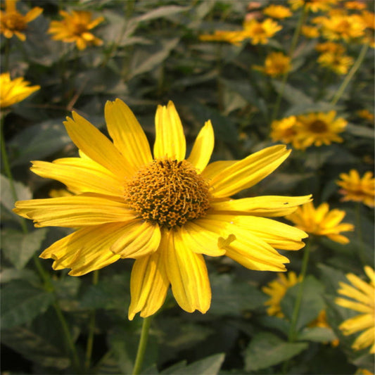 2019 work summary template material 2018 post year