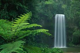 Copy of New 2019 product for advance collection